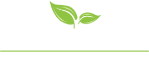 safe harbor logo